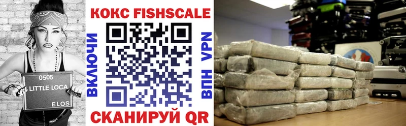 mega зеркало  закладка  Игра  КОКАИН FishScale 