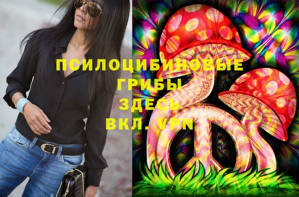 прущая мука Алзамай