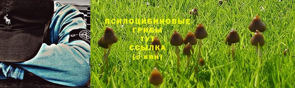 прущая мука Алзамай