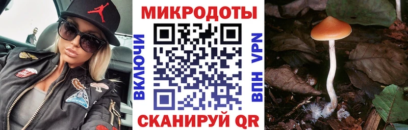 даркнет клад  Игра  Псилоцибиновые грибы MAGIC MUSHROOMS  даркнет сайт 